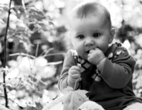 Introducing Little Cadence12