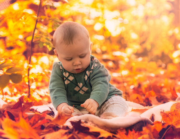 Introducing Little Cadence11