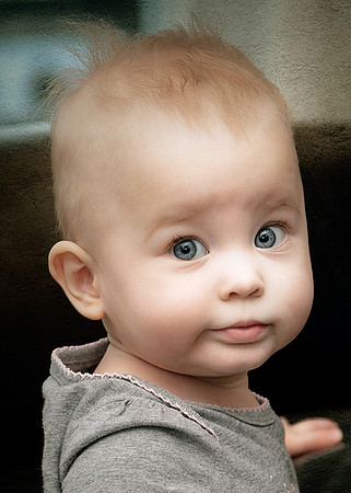 Madi - 8 months young