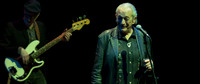 Charlie Musselwhite - 8