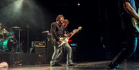 Honeymoon Suite11