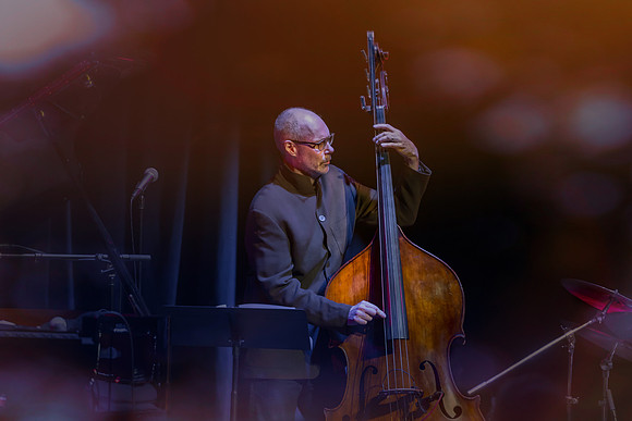 Paul Novotny & Robi Botos