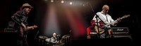 David Wilcox on stage at the Phoenix Concert Hall in Toronto
