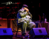 James Cotton - 2015