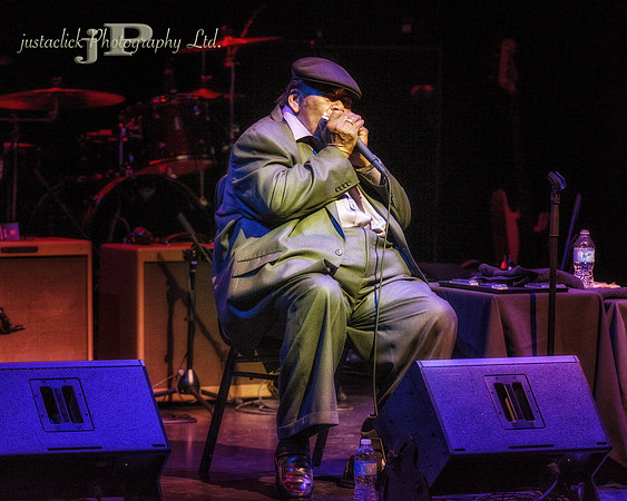 James Cotton - 2015
