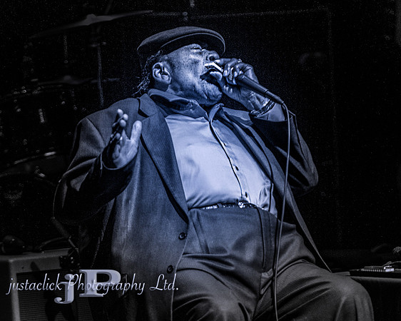 James Cotton - 2015