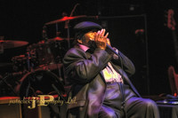 James Cotton - 2015