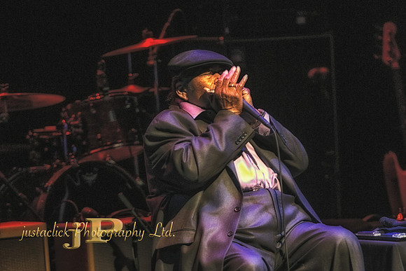 James Cotton - 2015