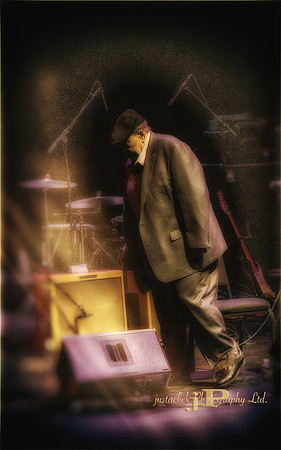 James Cotton - 2015