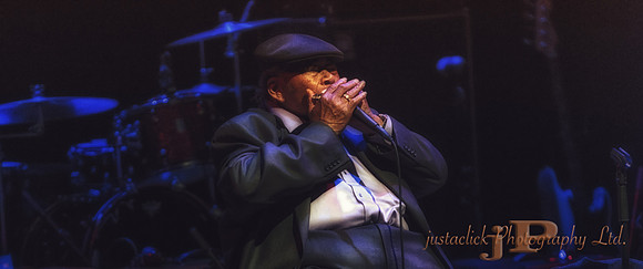 James Cotton - 2015