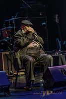 James Cotton - 2015