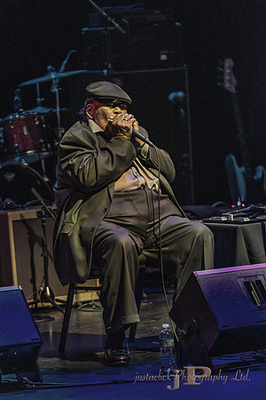 James Cotton - 2015