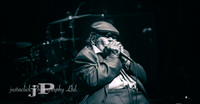 James Cotton - 2015