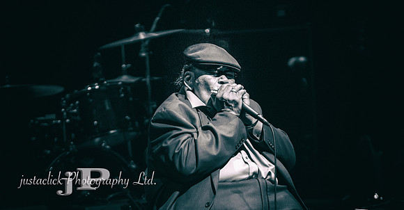 James Cotton - 2015