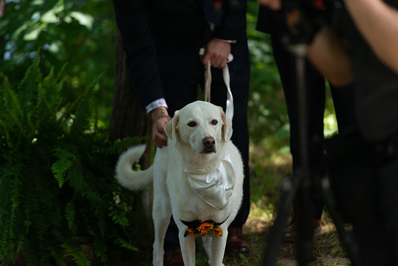 Emily & Riley wedding