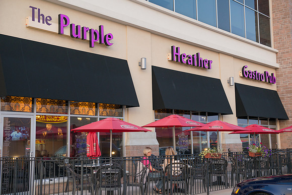 Purple Heather Pup, Burlington