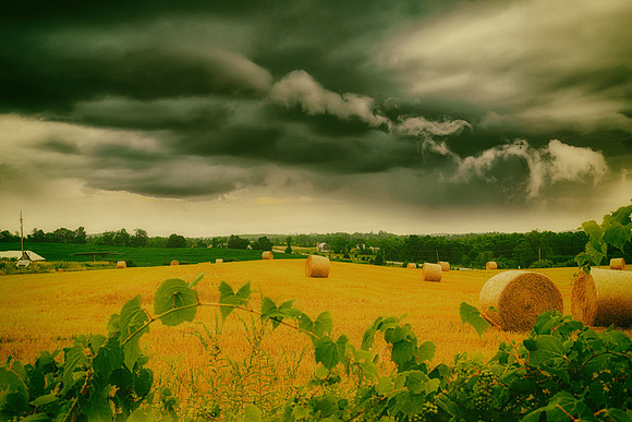 Dark sky