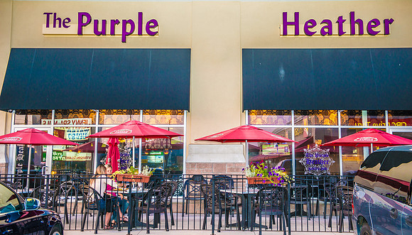 Purple Heather Pup, Burlington